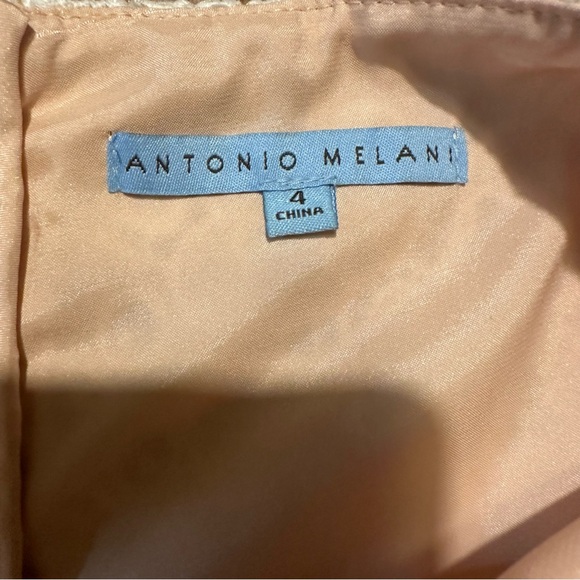 Antonio Melani Women’s Lace Dress Size 4 - Picture 6 of 11